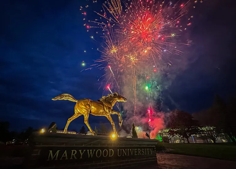 horse statue and fireworks behind it